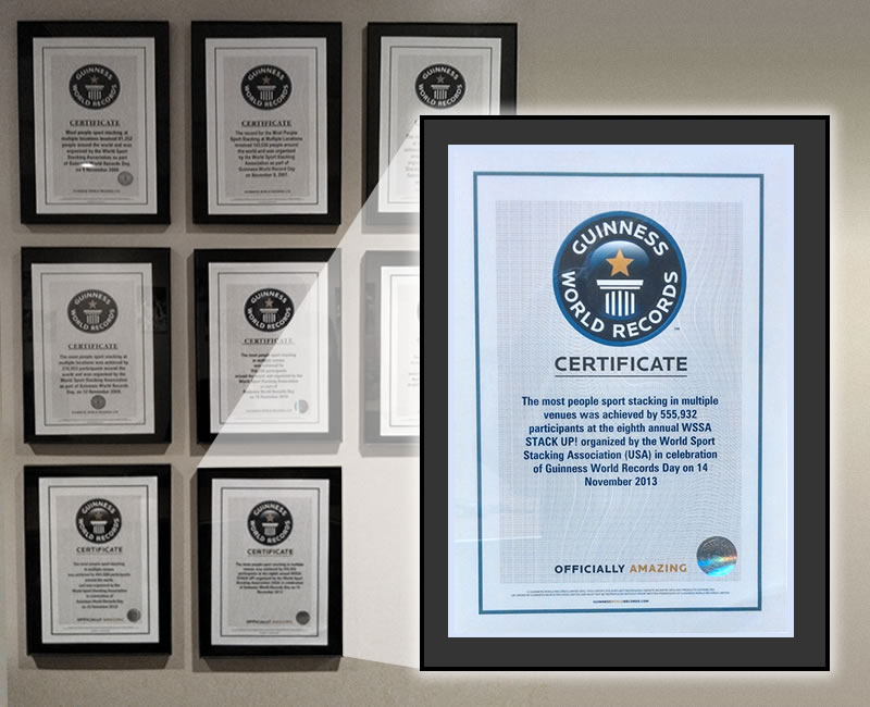guinness world record certificate template